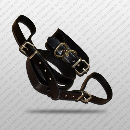 Dog Collar